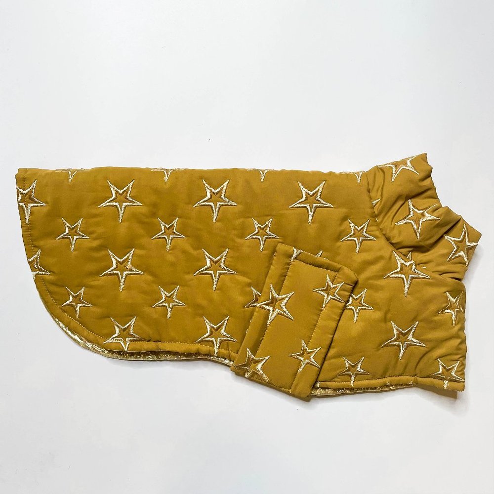 Shantell Design Golden Star Jacket